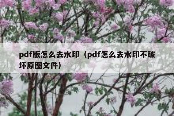 pdf版怎么去水印（pdf怎么去水印不破坏原图文件）