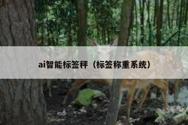 ai智能标签秤（标签称重系统）