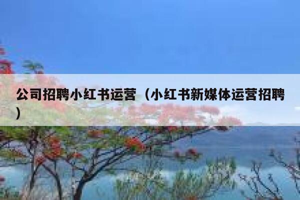 公司招聘小红书运营（小红书新媒体运营招聘）
