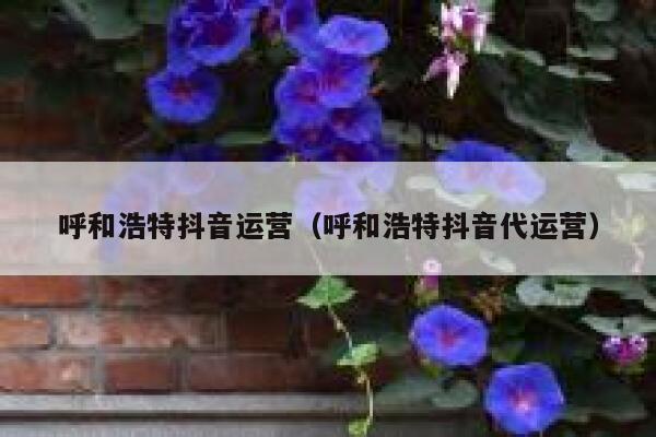 呼和浩特抖音运营（呼和浩特抖音代运营）