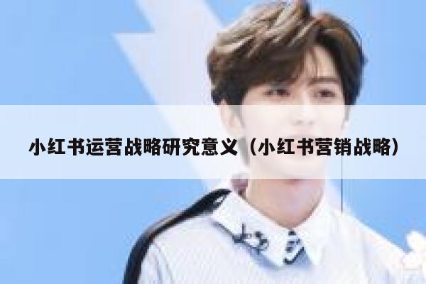 小红书运营战略研究意义（小红书营销战略）