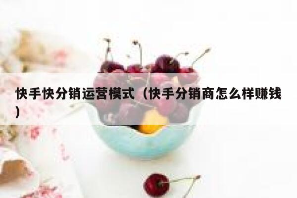 快手快分销运营模式（快手分销商怎么样赚钱）