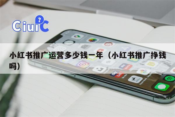小红书推广运营多少钱一年（小红书推广挣钱吗）