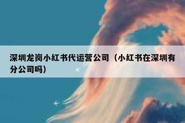 深圳龙岗小红书代运营公司（小红书在深圳有分公司吗）