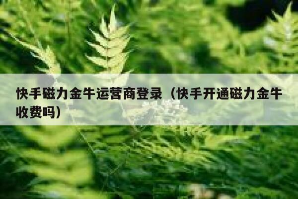 快手磁力金牛运营商登录（快手开通磁力金牛收费吗）
