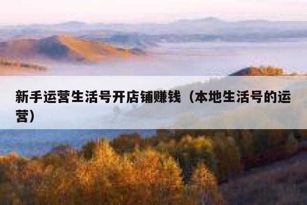 新手运营生活号开店铺赚钱（本地生活号的运营）