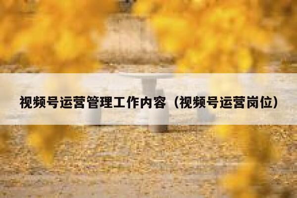 视频号运营管理工作内容（视频号运营岗位）