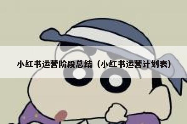 小红书运营阶段总结（小红书运营计划表）