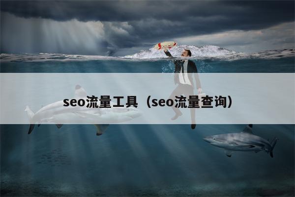 seo流量工具（seo流量查询）