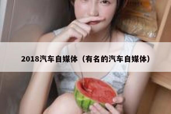 2018汽车自媒体（有名的汽车自媒体）