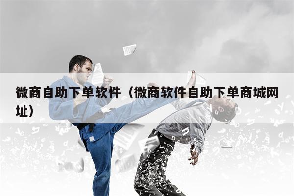 微商自助下单软件（微商软件自助下单商城网址）