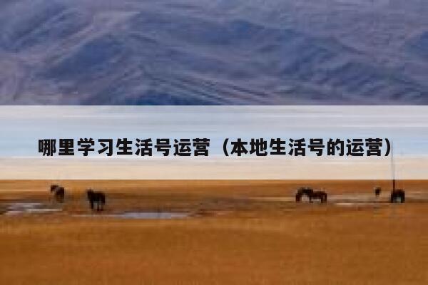 哪里学习生活号运营（本地生活号的运营）