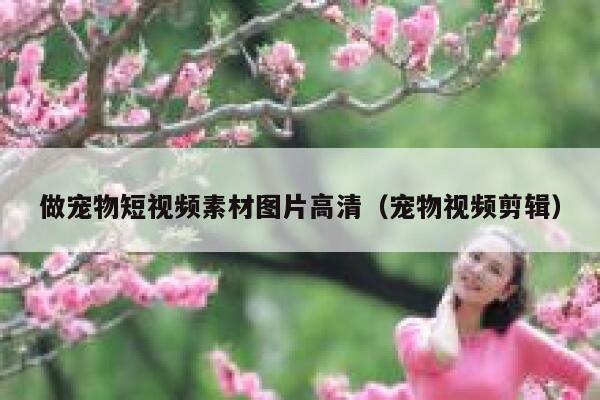 做宠物短视频素材图片高清（宠物视频剪辑）
