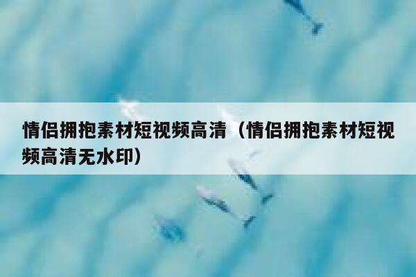 情侣拥抱素材短视频高清（情侣拥抱素材短视频高清无水印）