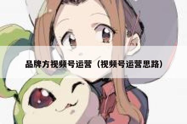 品牌方视频号运营（视频号运营思路）