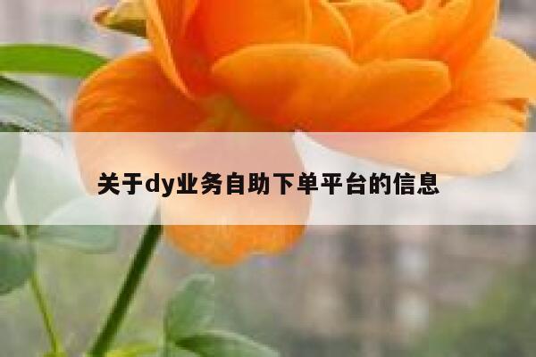 关于dy业务自助下单平台的信息