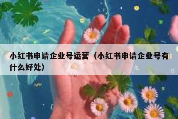 小红书申请企业号运营（小红书申请企业号有什么好处）