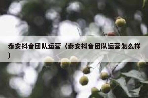 泰安抖音团队运营（泰安抖音团队运营怎么样）