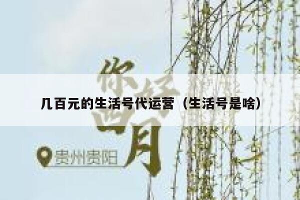 几百元的生活号代运营（生活号是啥）