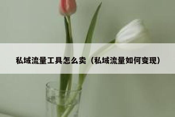 私域流量工具怎么卖（私域流量如何变现）