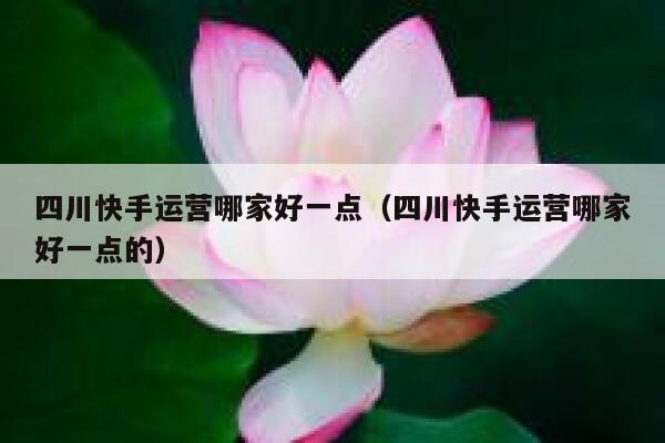四川快手运营哪家好一点（四川快手运营哪家好一点的）