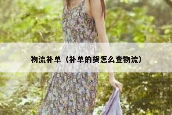 物流补单（补单的货怎么查物流）