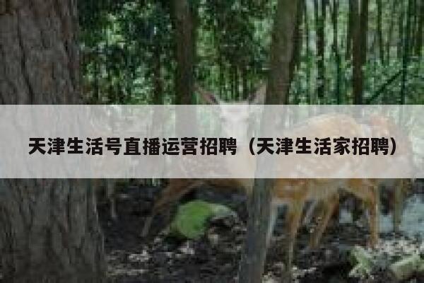 天津生活号直播运营招聘（天津生活家招聘）