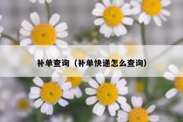 补单查询（补单快递怎么查询）