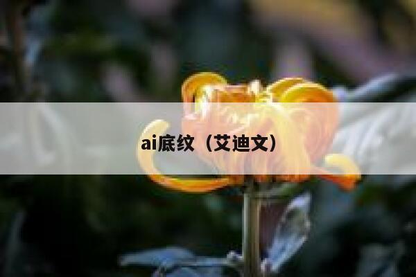 ai底纹（艾迪文）