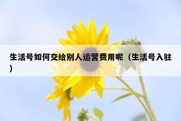 生活号如何交给别人运营费用呢（生活号入驻）