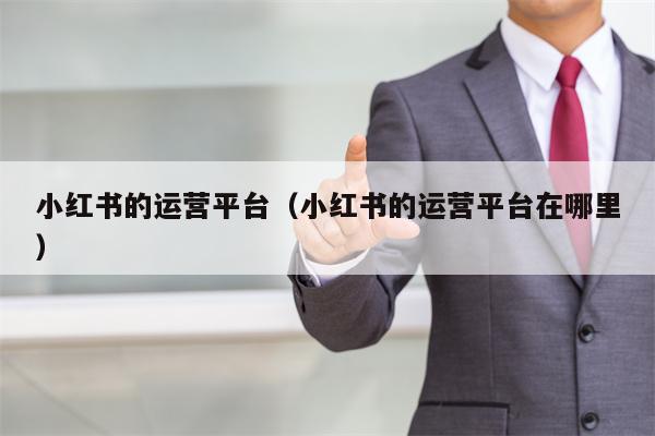小红书的运营平台（小红书的运营平台在哪里）