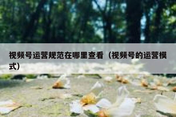 视频号运营规范在哪里查看（视频号的运营模式）