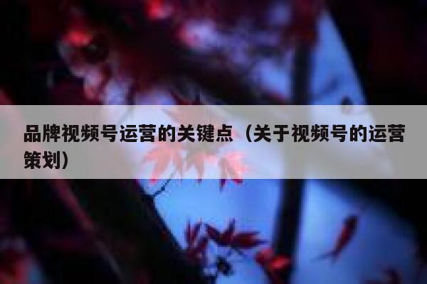 品牌视频号运营的关键点（关于视频号的运营策划）