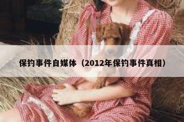 保钓事件自媒体(2012年保钓事件真相) 保钓事件自媒体(2012年保钓事件真相)