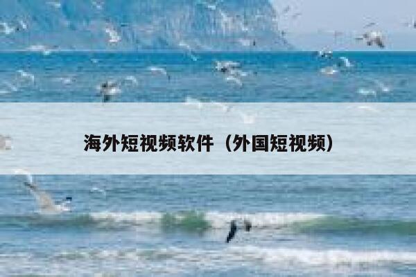 海外短视频软件(外国短视频) 海外短视频软件(外国短视频)