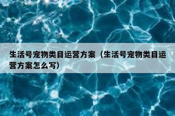 生活号宠物类目运营方案(生活号宠物类目运营方案怎么写) 生活号宠物类目运营方案(生活号宠物类目运营方案怎么写)