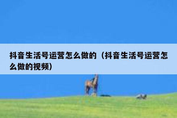 抖音生活号运营怎么做的(抖音生活号运营怎么做的视频) 抖音生活号运营怎么做的(抖音生活号运营怎么做的视频)