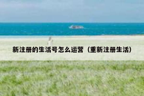 新注册的生活号怎么运营（重新注册生活）