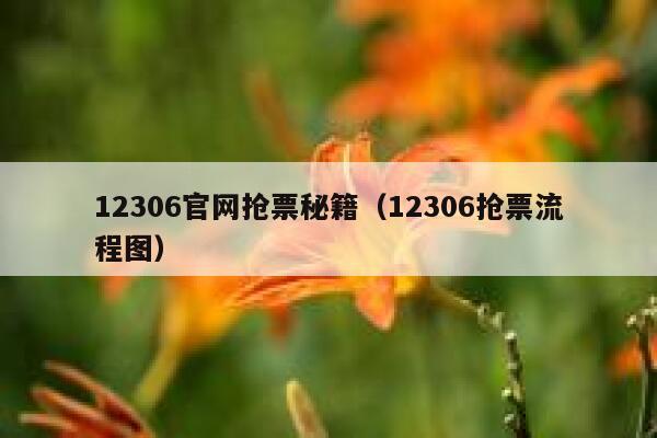12306官网抢票秘籍（12306抢票流程图）