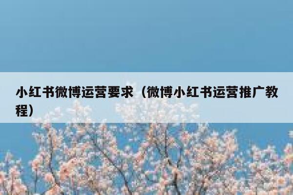 小红书微博运营要求（微博小红书运营推广教程）