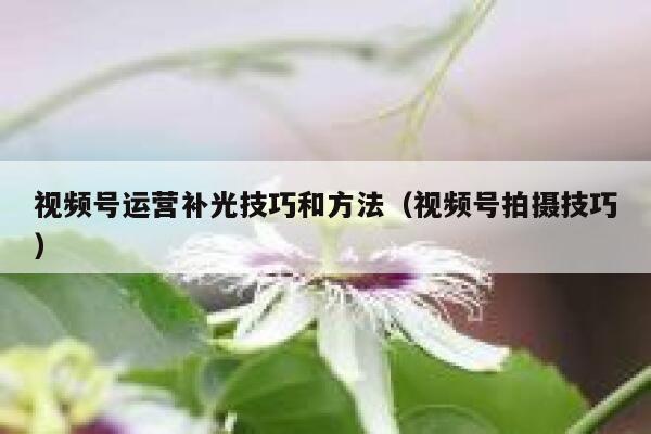视频号运营补光技巧和方法（视频号拍摄技巧）