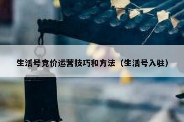 生活号竞价运营技巧和方法（生活号入驻）
