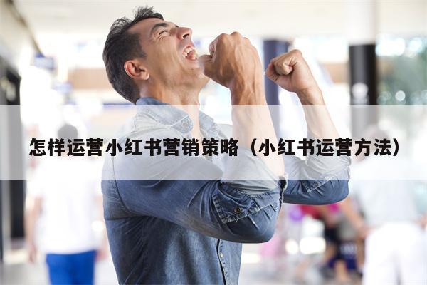 怎样运营小红书营销策略(小红书运营方法) 怎样运营小红书营销策略(小红书运营方法)