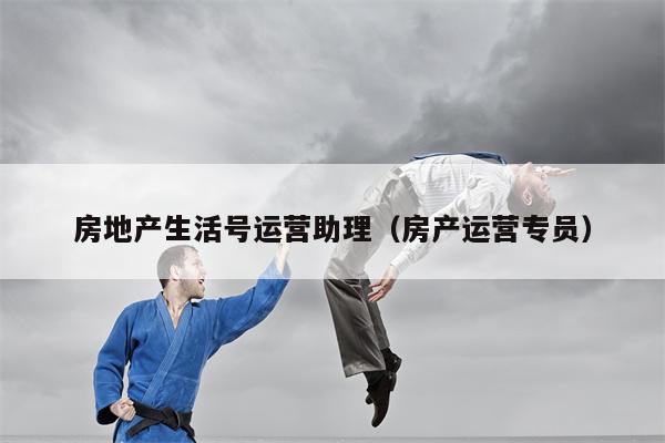 房地产生活号运营助理(房产运营专员) 房地产生活号运营助理(房产运营专员)