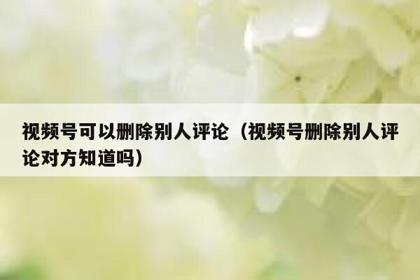 视频号可以删除别人评论(视频号删除别人评论对方知道吗) 视频号可以删除别人评论(视频号删除别人评论对方知道吗)