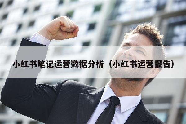 小红书笔记运营数据分析（小红书运营报告）