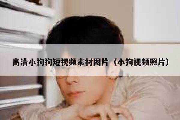 高清小狗狗短视频素材图片（小狗视频照片）
