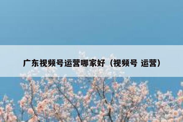 广东视频号运营哪家好(视频号 运营)