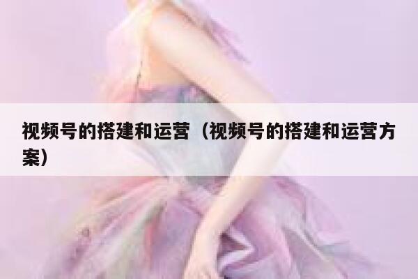 视频号的搭建和运营（视频号的搭建和运营方案）