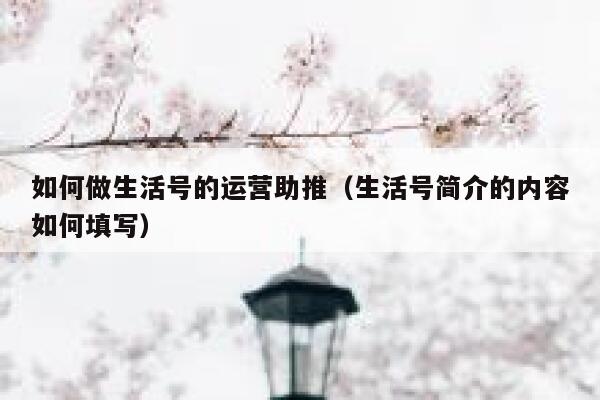 如何做生活号的运营助推（生活号简介的内容如何填写）